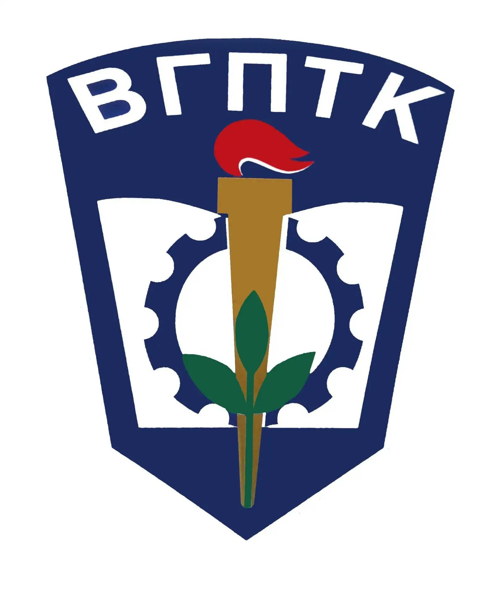 ГБПОУ ВО «Воронежский государственный промышленно - технологический колледж»