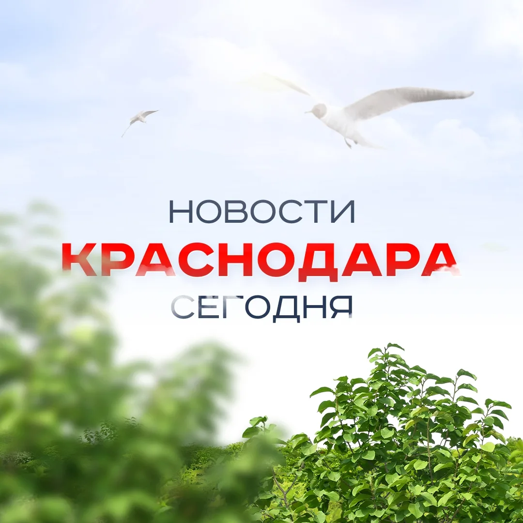 ЧП Краснодар, новости, происшествия, подслушано жесть, ДТП Краснодара погода карта работа афиша вакансии Сочи Новороссийск Армавир Анапа Ейск Геленджик Кропоткин Туапсе Лабинск Крымск Кубань — канал в мессенджере MAX