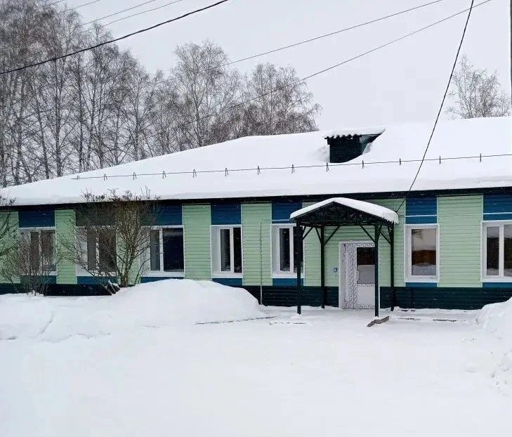 Зырянская ДШИ