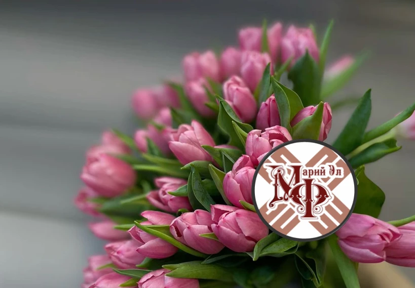 Минфин Республики Марий Эл — канал в мессенджере MAX