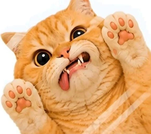 СМЕШНЫЕ КОТИКИ — канал в мессенджере MAX