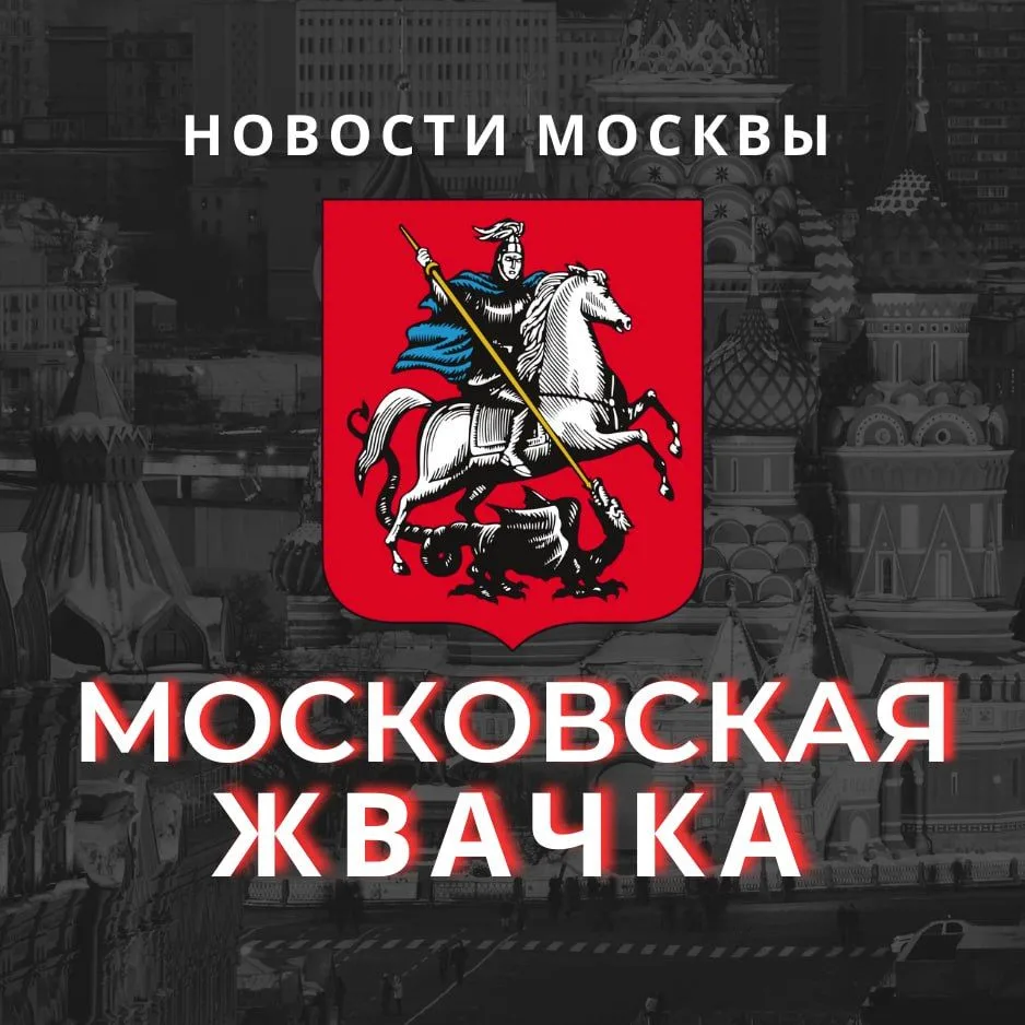 Московская Жвачка Новостной Журнал — канал в мессенджере MAX