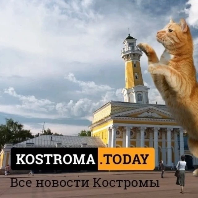 KOSTROMA.TODAY І Все новости Костромы