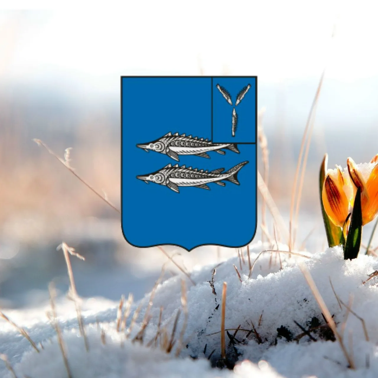 Хвалынский район