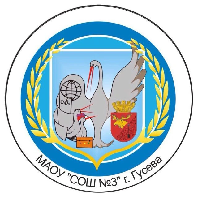 МАОУ «СОШ № 3 ИМ. ГЕРОЯ РФ В.С. ПАЛАМАРЧУКА»