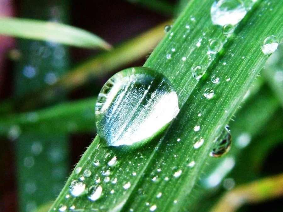 МБДОУ № 23 г. Пензы "Росиночка"