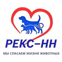 Рекс- НН — канал в мессенджере MAX