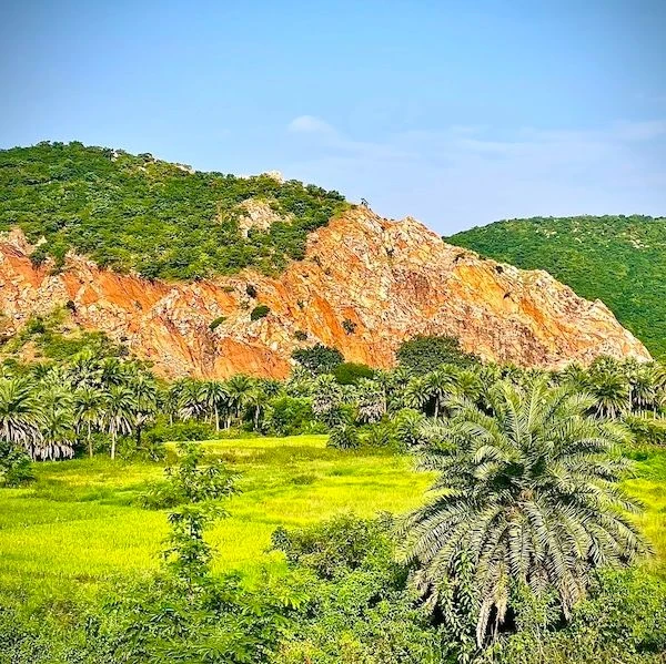 Ананда Самбхути