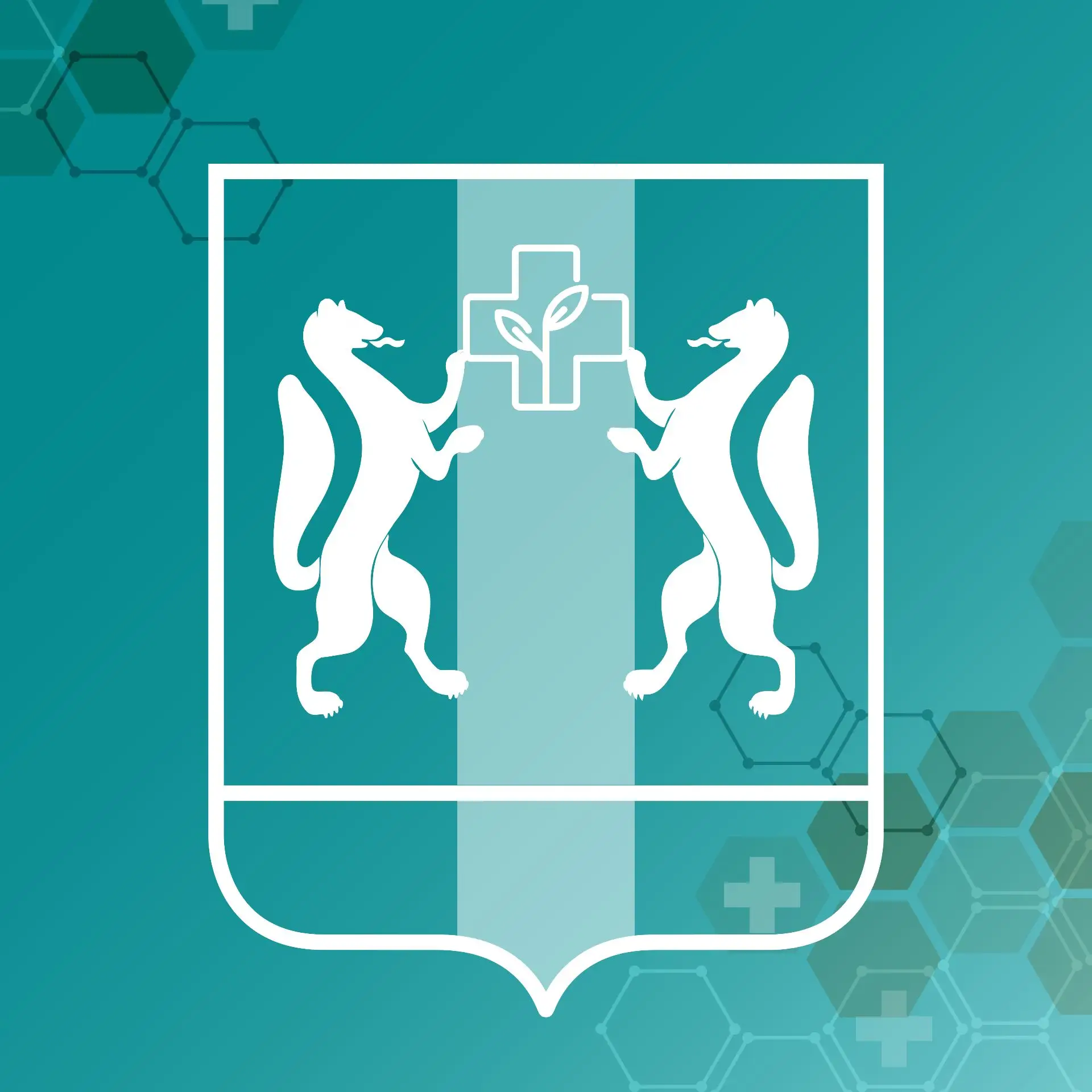 Минздрав Новосибирской области