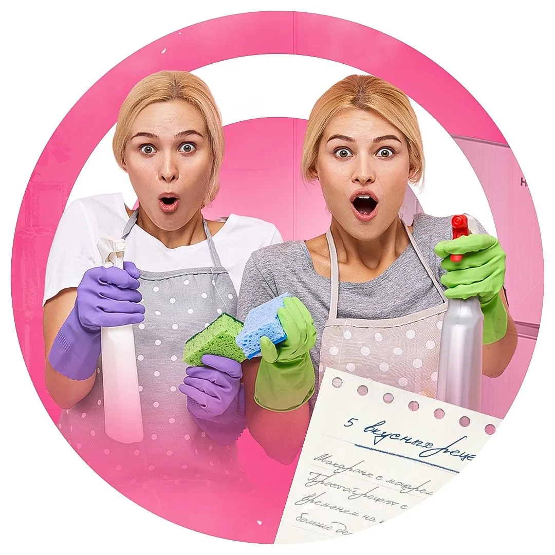 Записки домашних хитростей)