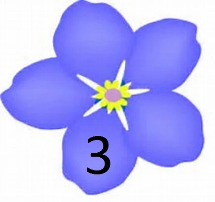 МДОУ дс12 "Незабудка"