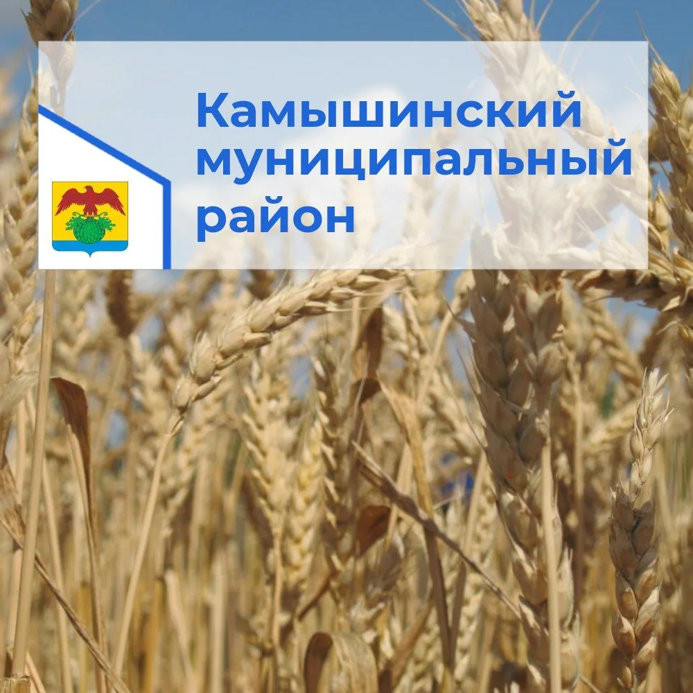 Администрация Камышинского муниципального района Волгоградской области — канал в мессенджере MAX