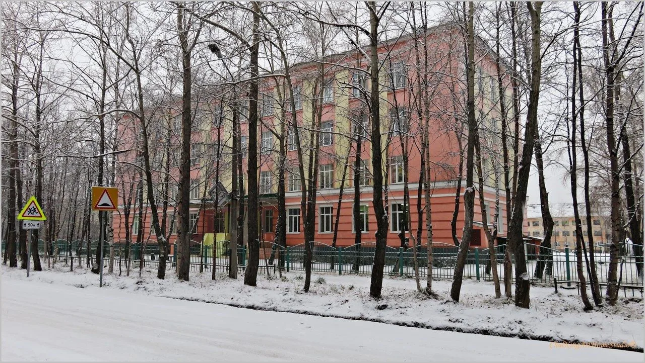 ГОБОУ Оленегорская КШИ