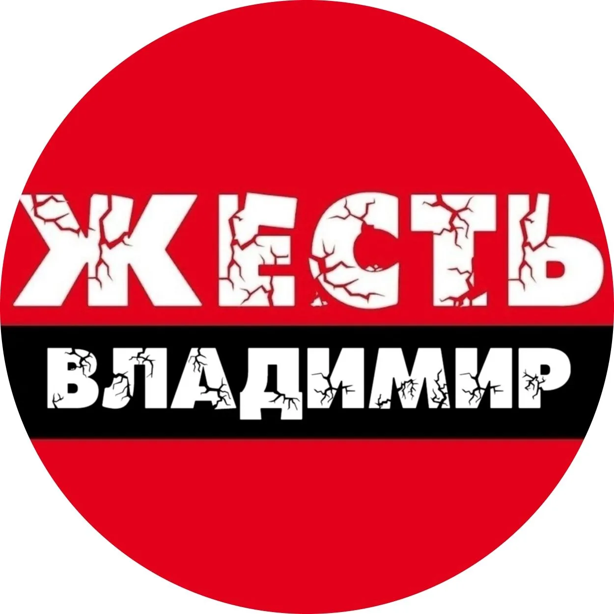 Жесть Владимир — канал в мессенджере MAX