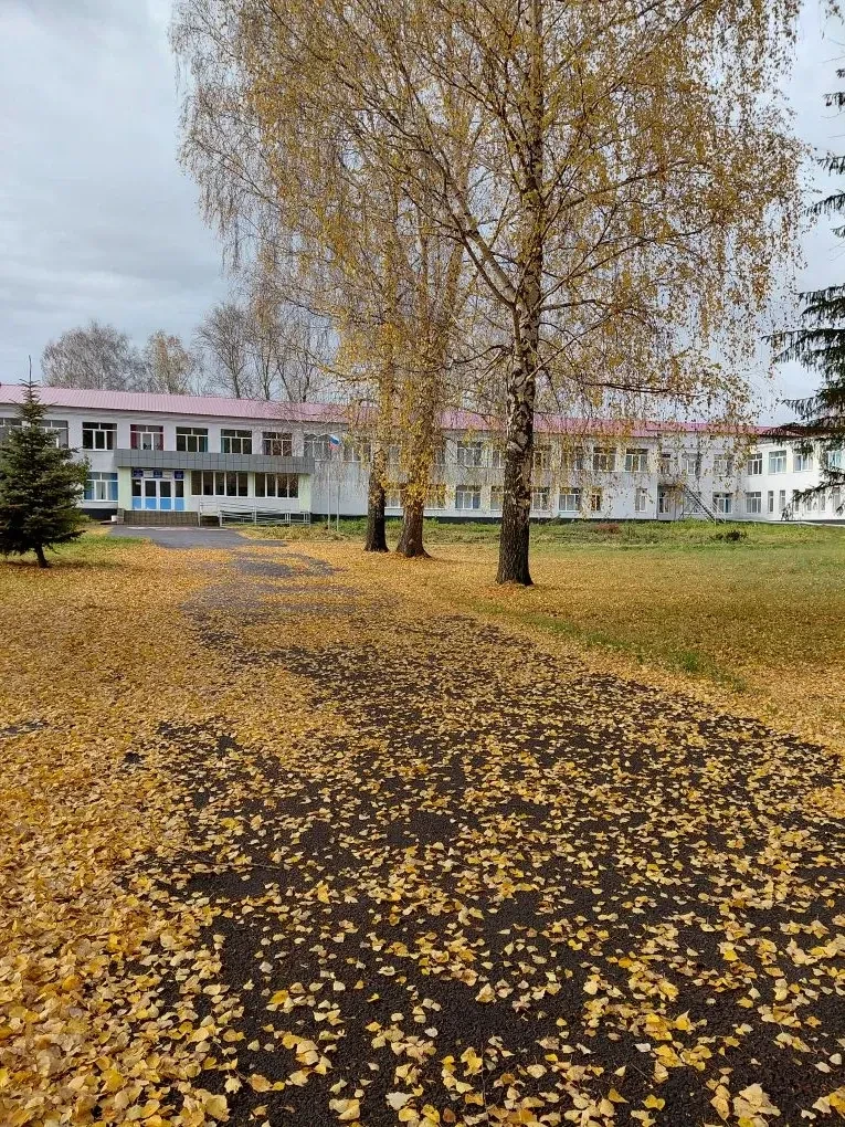 МБОУ СОШ с. Куезбашево  канал