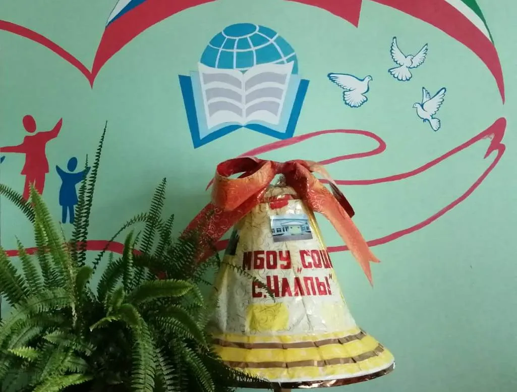 МБОУ "СОШ с.Чалпы" Азнакаевского МР РТ