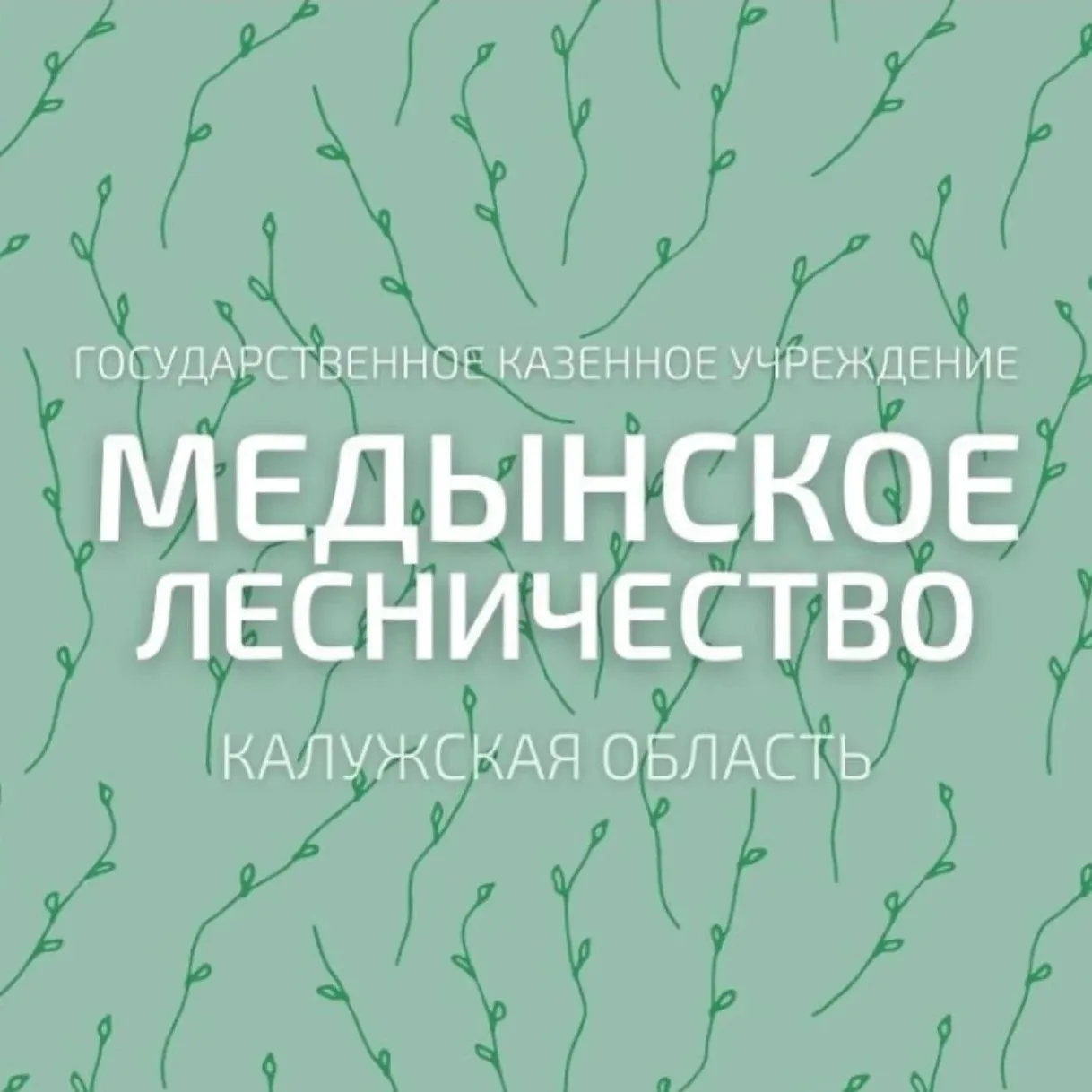 ГКУ КО "Медынское лесничество"