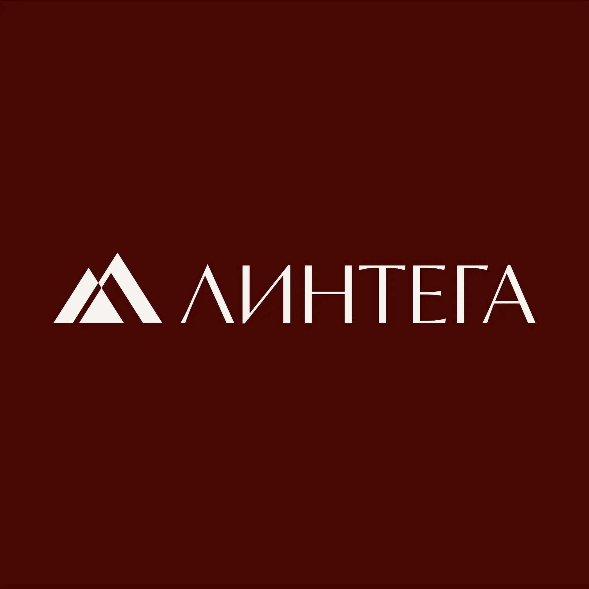 Медиагруппа Линтега — канал в мессенджере MAX