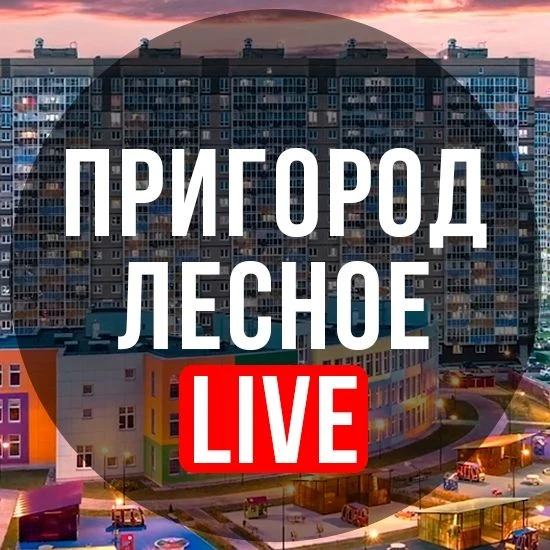 Пригород Лесное — канал в мессенджере MAX