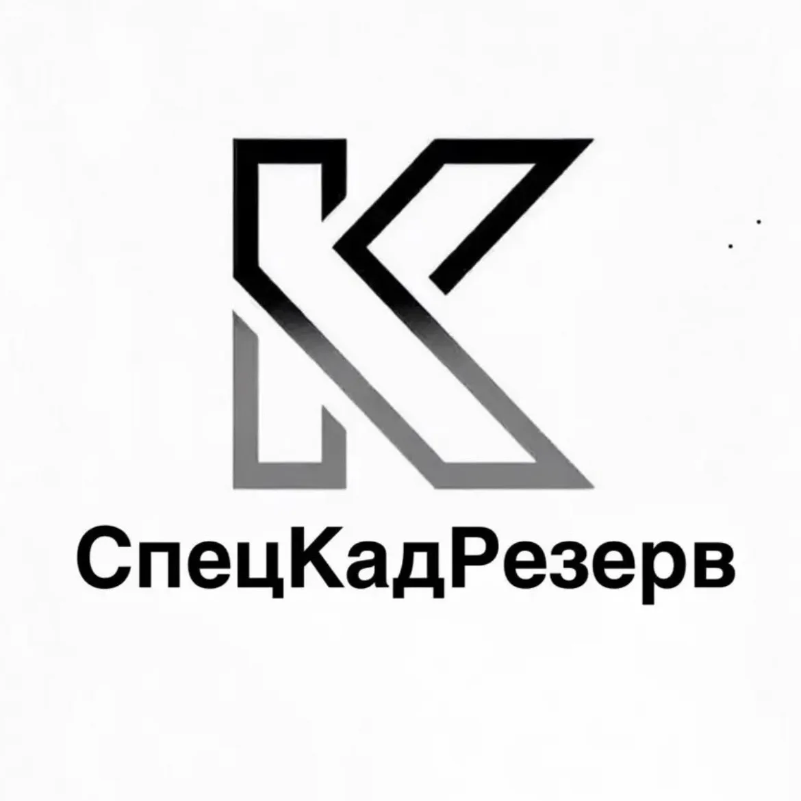 СпецКадРезерв — канал в мессенджере MAX