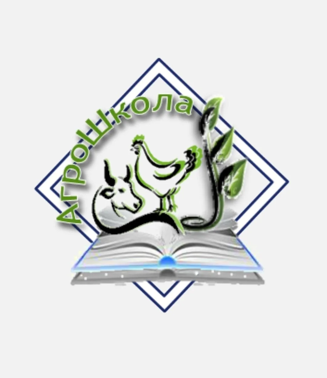 КГБОУ ШИ 12 "Агрошкола"