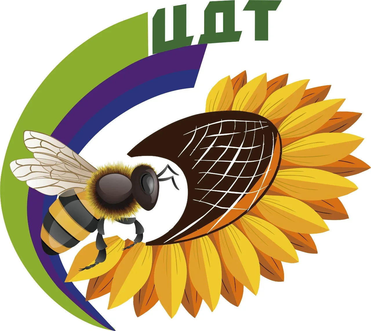 МАУ ДО ЦДТ Фурманов