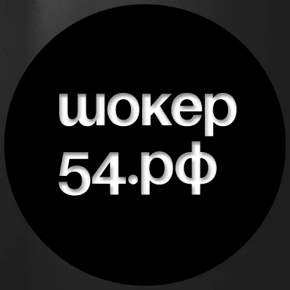 Канал шокер54.рф — канал в мессенджере MAX