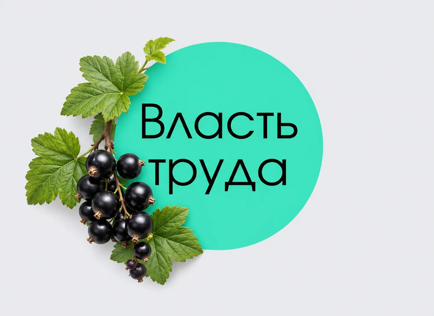 Власть труда
