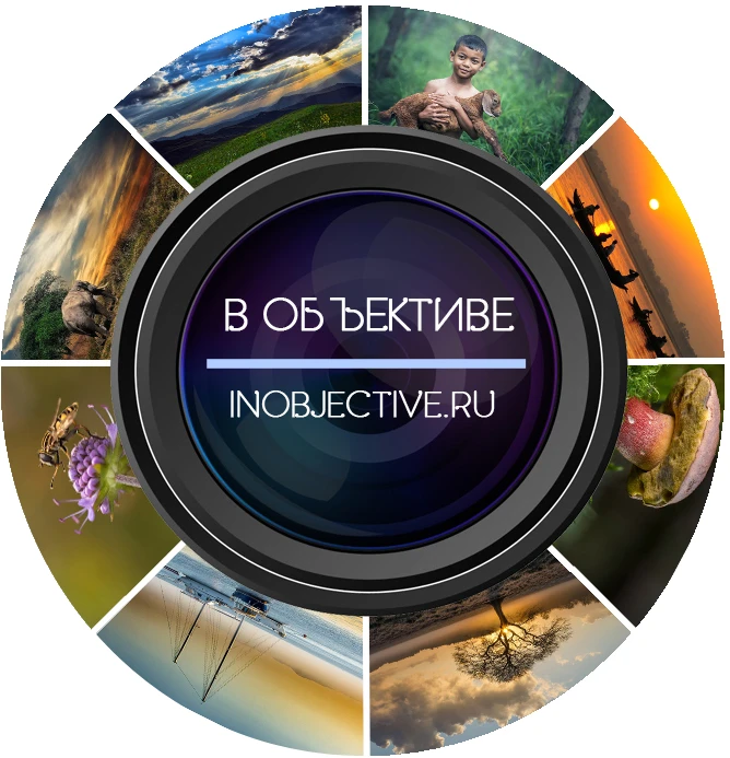 Логотип канала