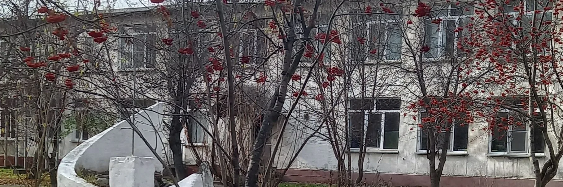 МБОУ "Издревинская школа №58" Новосибирского района, Новосибирской области.