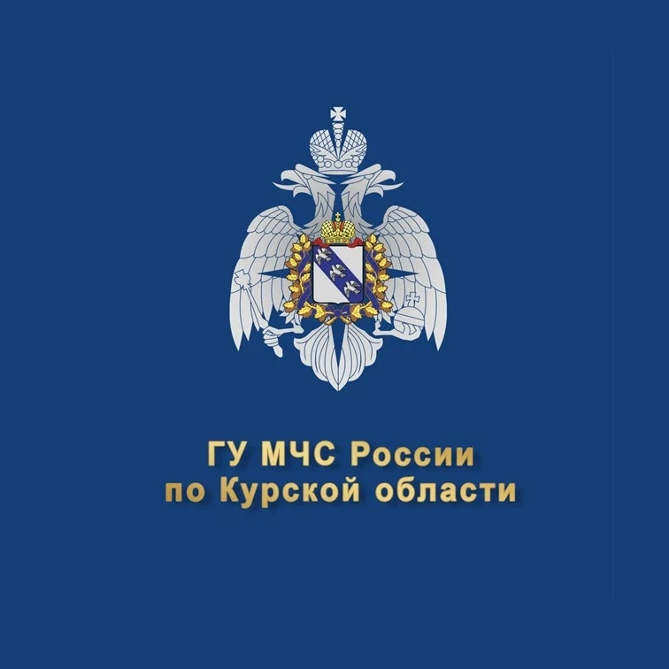 МЧС Курской области
