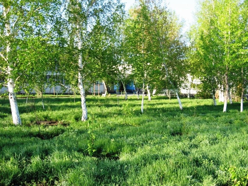 МОАУ "СОШ №5 с.Пригорное"