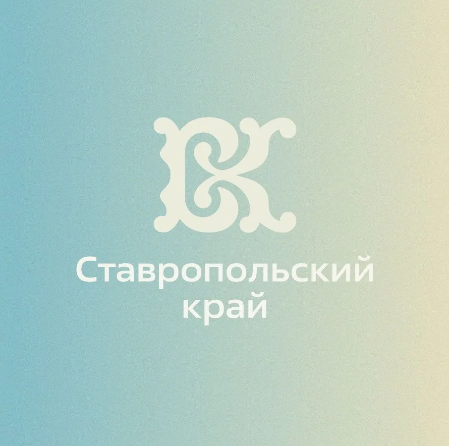 Волонтёры культуры Ставропольского края — канал в мессенджере MAX