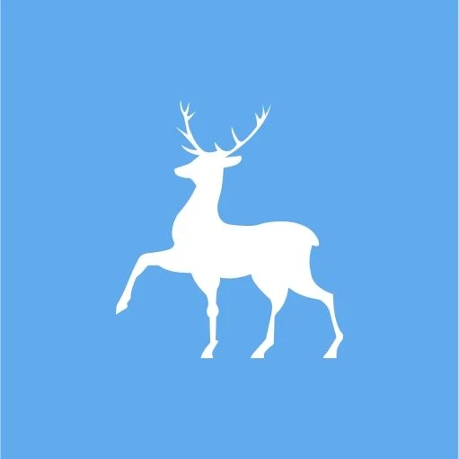 МАОУ "Школа №111"