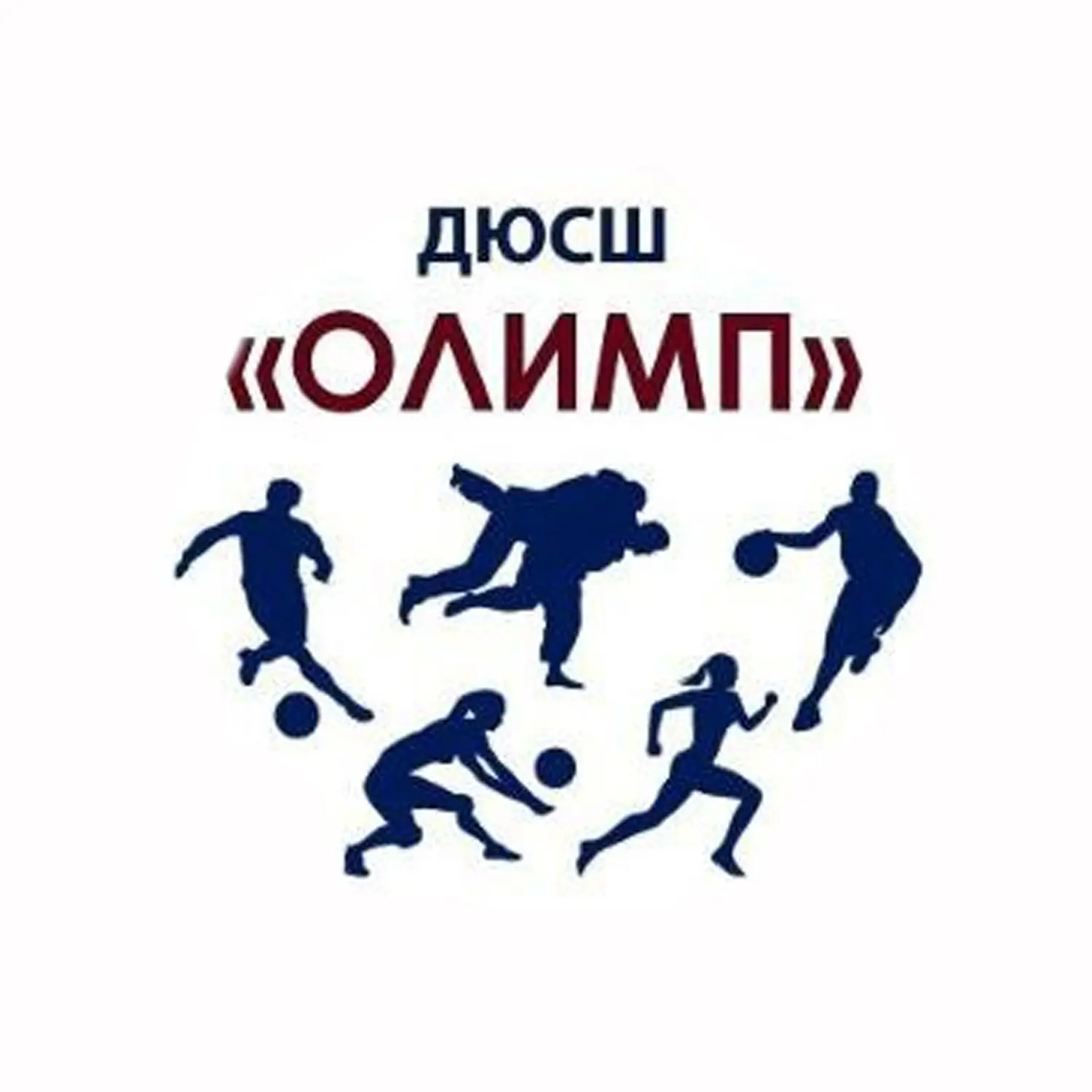 МБОУ ДО ДЮСШ "Олимп" — канал в мессенджере MAX