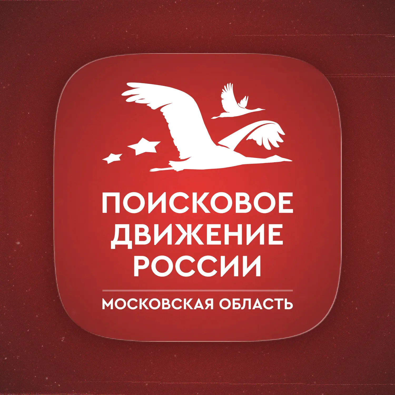 Поисковое движение России в Московской области — канал в мессенджере MAX