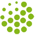 Chelnokov web studio