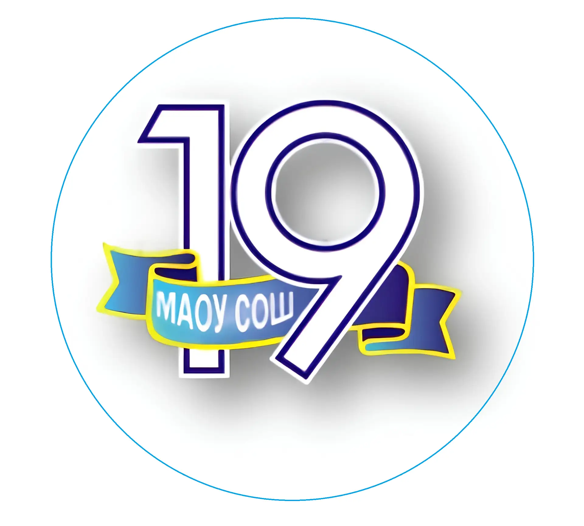 МАОУ СОШ №19