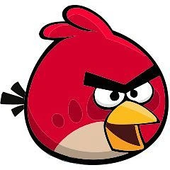 Оборудование для птицеводства 🐣 - Альтер Бёрдс