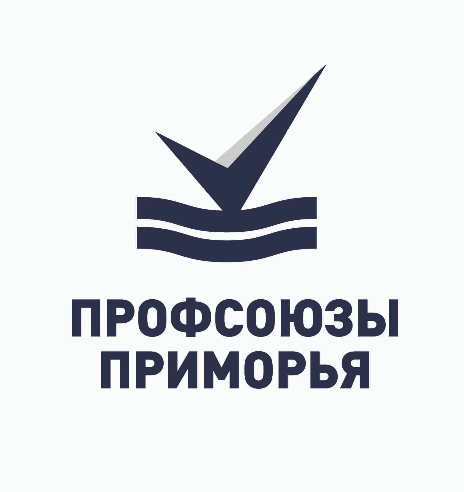 Профсоюзы Приморья — канал в мессенджере MAX