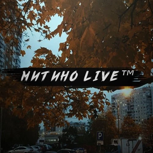 Митино