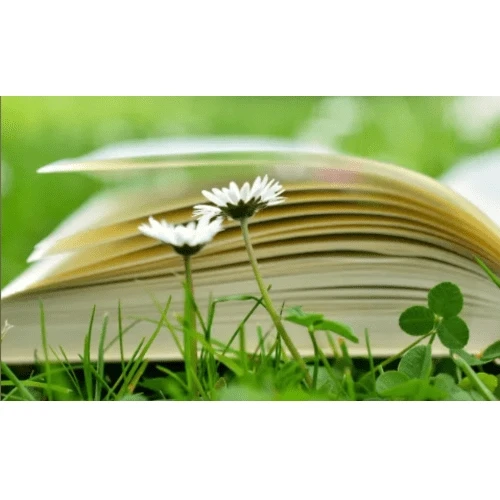 Здоровье без Книг и Зубрежки | эко зож пп очищение детокс экомедицина
