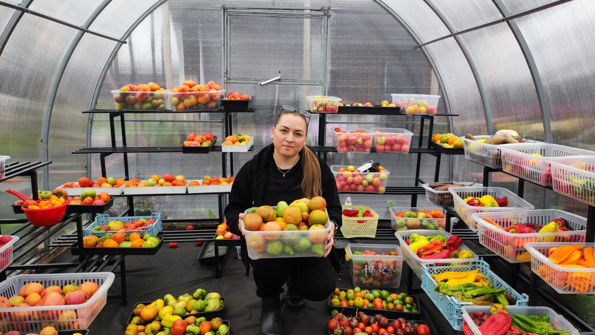 60 Соток в Сибири