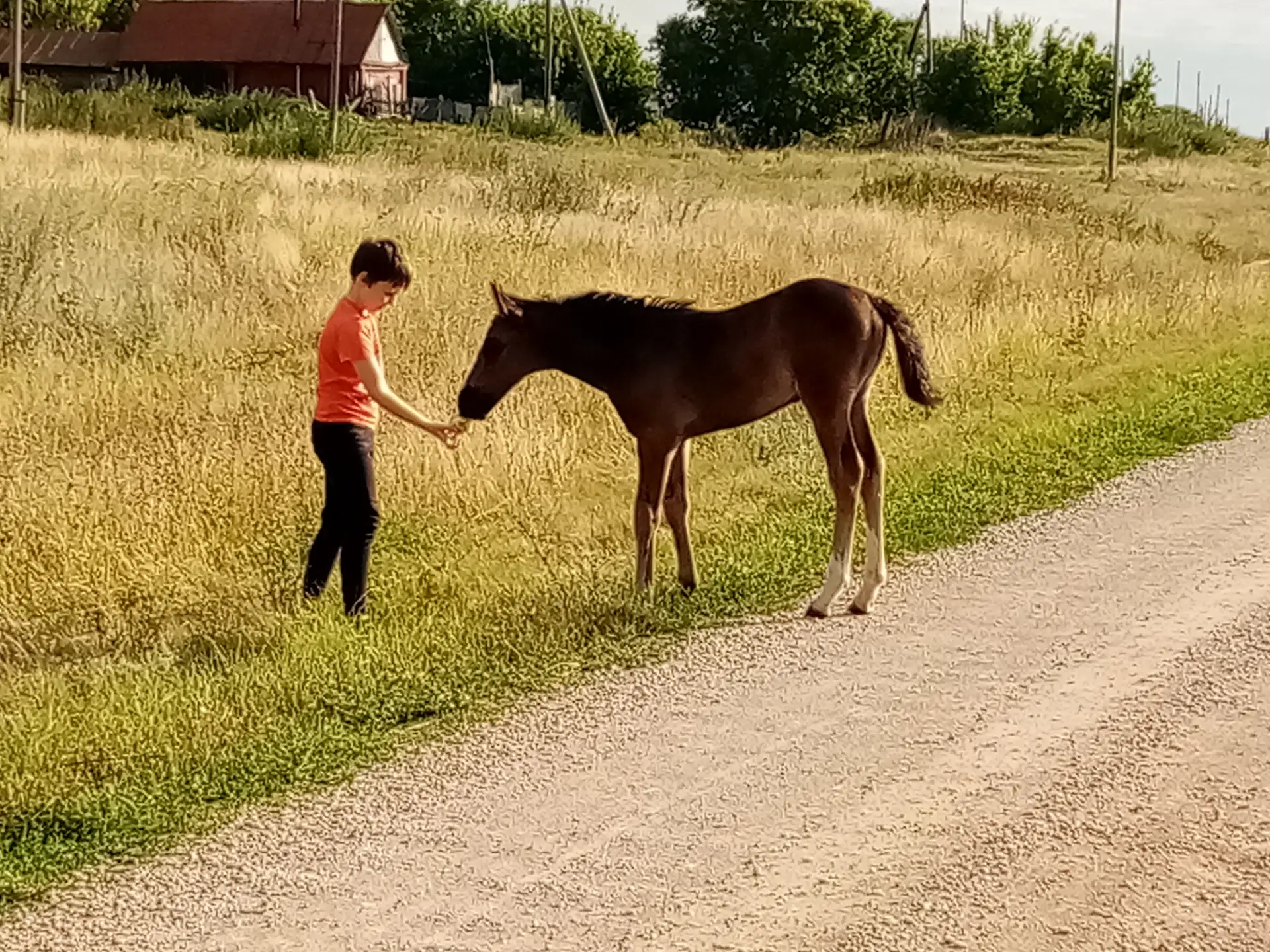 Логотип канала