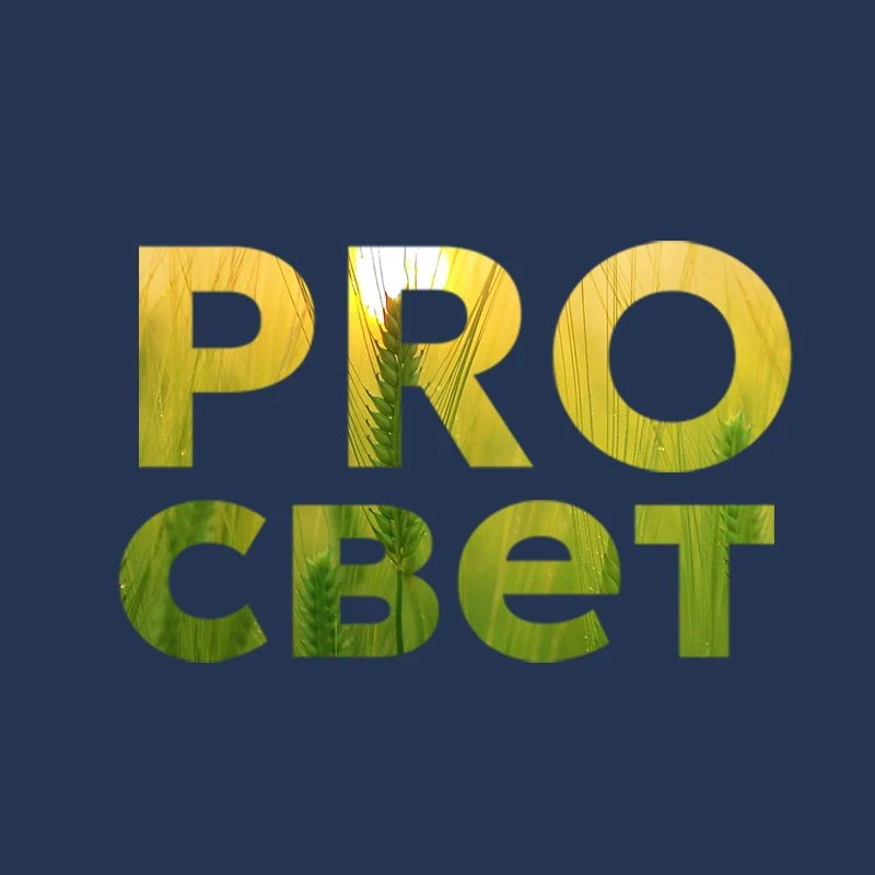 Учительский клуб PROсвет — канал в мессенджере MAX