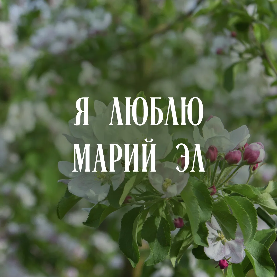 Я люблю Марий Эл