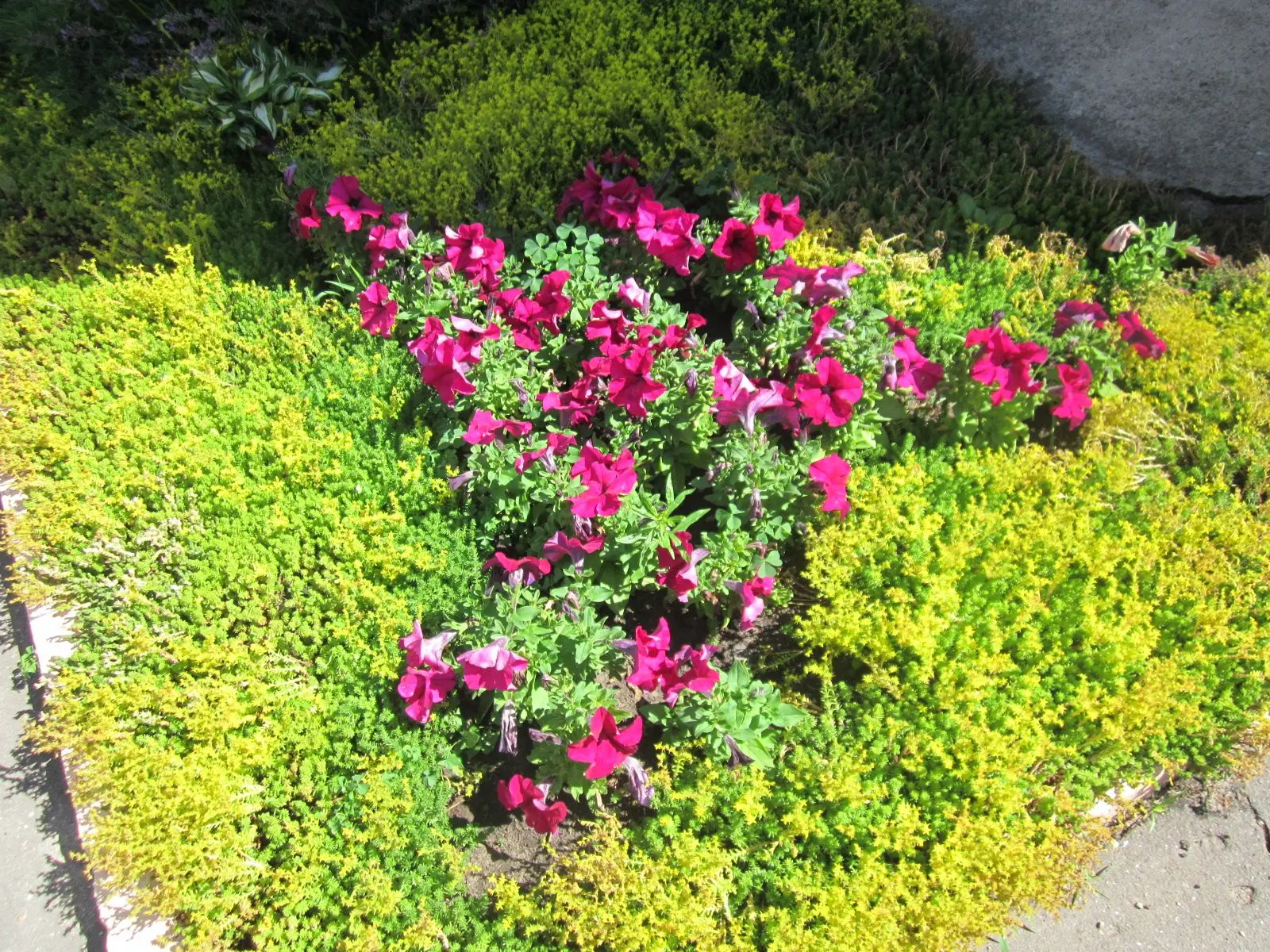 Канал МБДОУ "Детский сад общеразвивающего вида № 151"