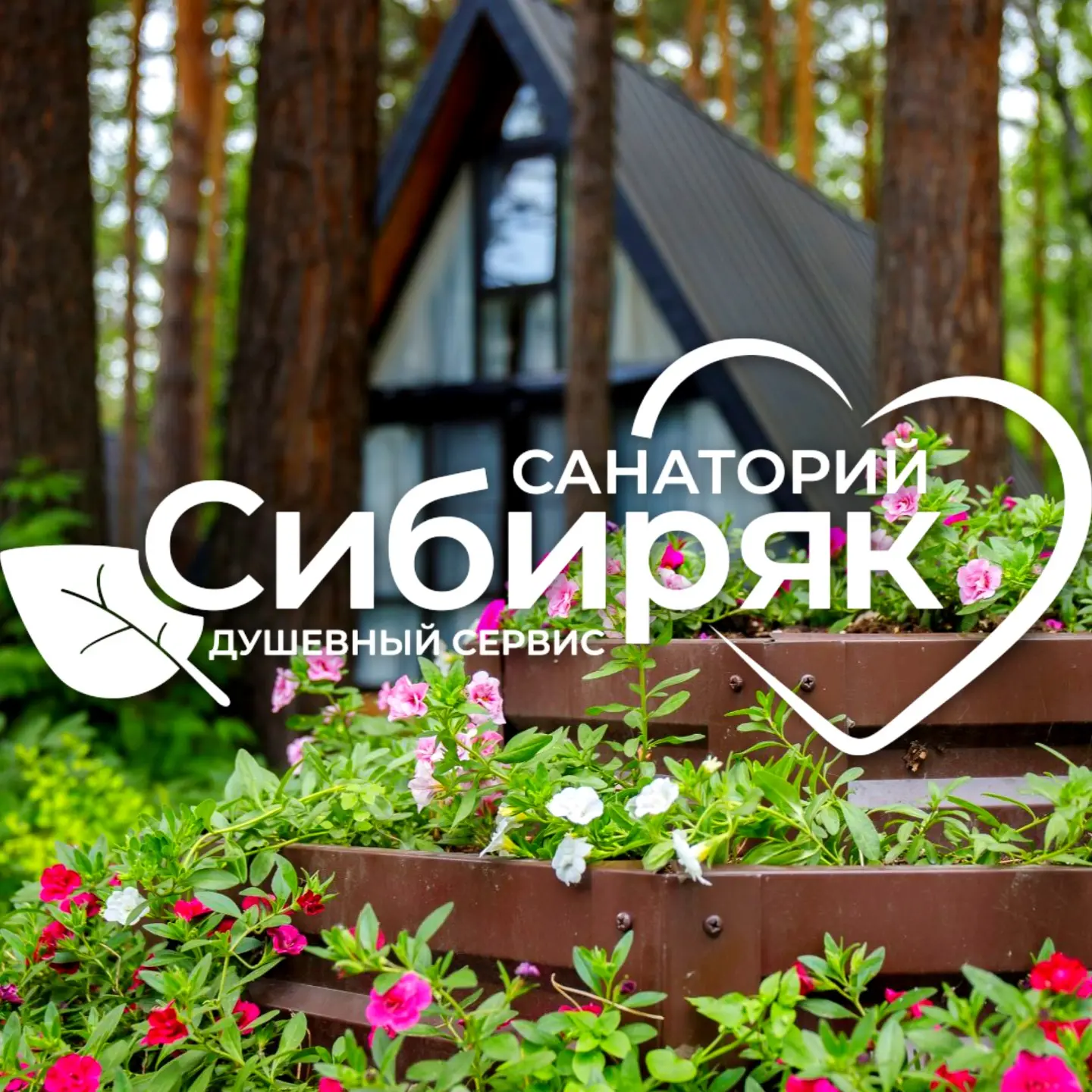 Санаторий Сибиряк🌿 — канал в мессенджере MAX