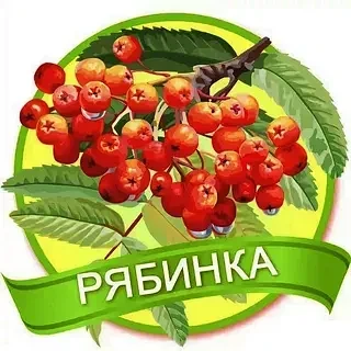 МДОУ д/с "Рябинка" г. Балашова — канал в мессенджере MAX