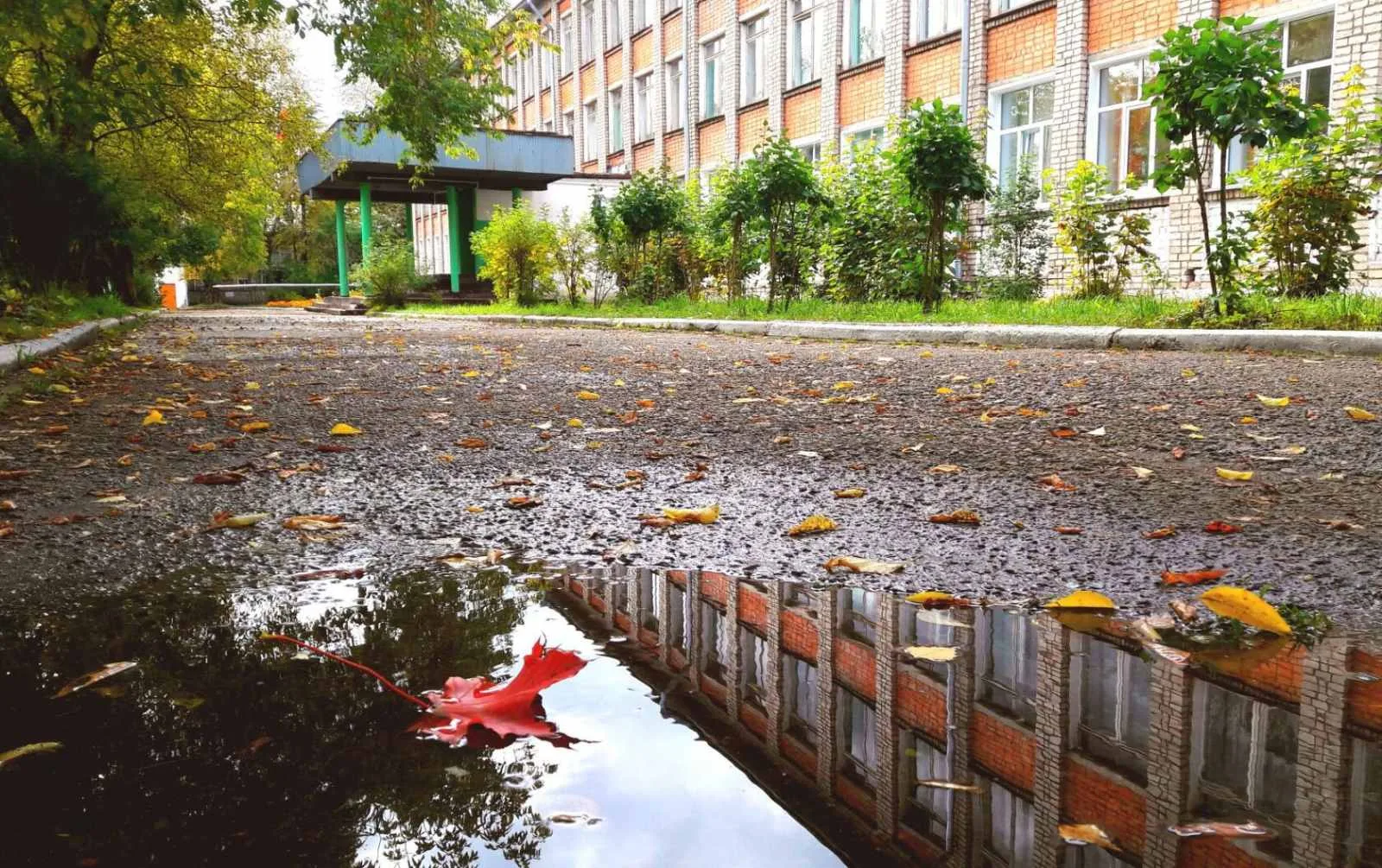 ГОСУДАРСТВЕННАЯ ШКОЛА г. ОМУТНИНСКА